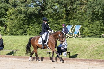 Bild 147 - Pony Akademie Turnier